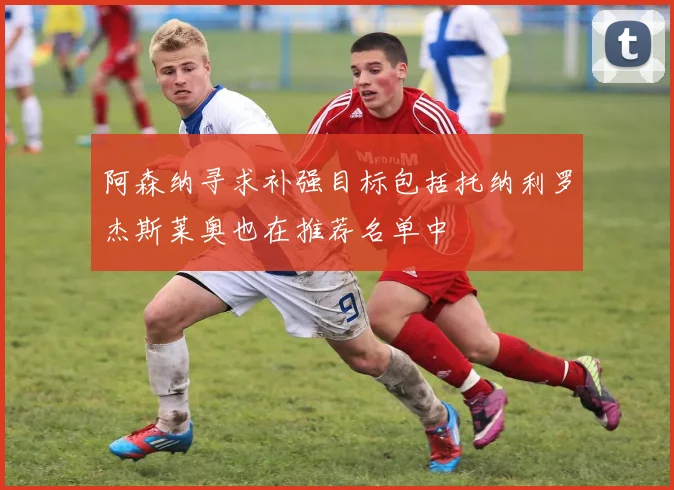 阿森纳寻求补强目标包括托纳利罗杰斯莱奥也在推荐名单中